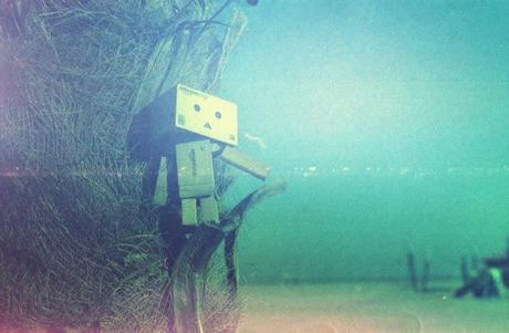 Danbo on the Beach or on the Moon? - Revolog Kolor test roll