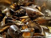 ricette miei muscoli .... cozze alla birra scura porro, alloro, cerfoglio l'aiuto Ginevra