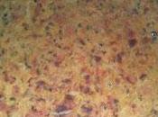 Torta rustica peperoni