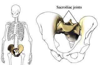 L'articolazione Sacro-Iliaca