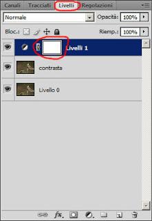 Fotoritocco animali con Photoshop - Strumento contrasta, Livelli di Regolazione e Maschera di Livello