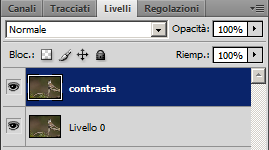 Fotoritocco animali con Photoshop - Strumento contrasta, Livelli di Regolazione e Maschera di Livello