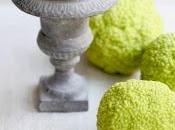 mese ABOUTGARDEN/7