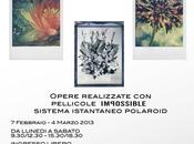 febbraio marzo: HANAKOTOBA, istantanee linguaggio fiori