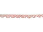conchiglia dolcepisti