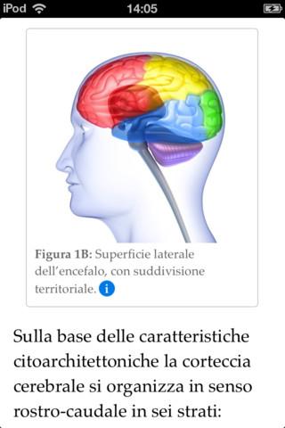 EEG Guide: ebook teorico e pratico sull’elettroencefalografia