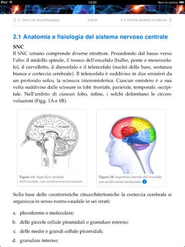 EEG Guide: ebook teorico e pratico sull’elettroencefalografia