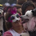 Rio de Janeiro, la sfilata dei cani prima del Carnevale03