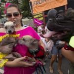 Rio de Janeiro, la sfilata dei cani prima del Carnevale02