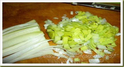 Maccheroncini con salmone, porro e panna vegetale (2)