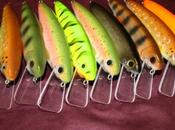 stanza dell’autocostruzione Oliffo Living Lures
