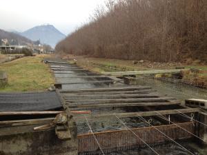 il torrente che alleva le trote - Mittagsee