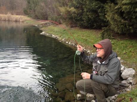 I grandi salmonidi a mosca del Mittagsee