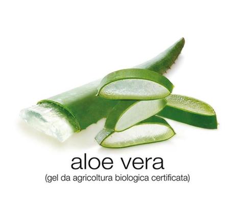 aloe_vera_480