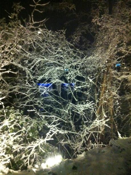 Snowy saturday Night in Bologna