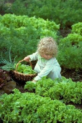 Nell'Orto e in Giardino | i lavori di Febbraio