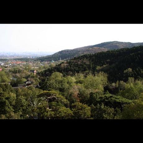 Una giornata autunnale alle colline profumate