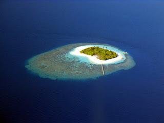 100 dischi da portare in un'isola deserta (se solo ci fossero la corrente elettrica e uno stereo per ascoltarli)