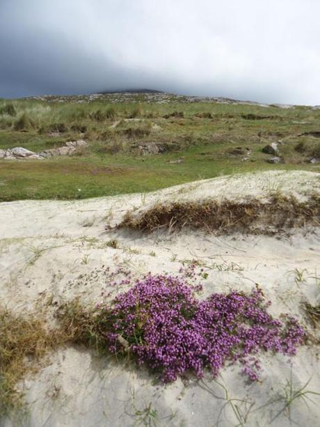 La Scozia di Lucia: la bianca spiaggia di Luskentyre