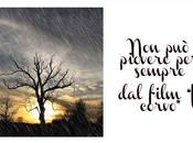 Desiderio primavera
