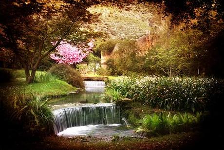 NINFA, la nostra Ninfa tra i primi 10 giardini più belli al mondo!