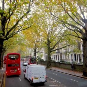 Un pezzo di Giappone a Londra