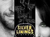 lato positivo Silver linings playbook (2012)