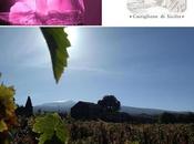 Tenuta Fessina export