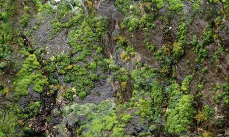 rock textures 015 rock textures