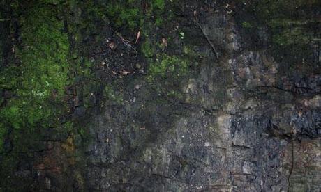 rock textures 021 rock textures