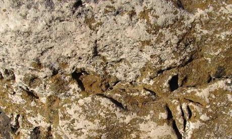 rock textures 014 rock textures