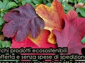 Prodotti ecosostenibili zero spese spedizione? Tutte novità @MinimoImpatto (Econewsletter)