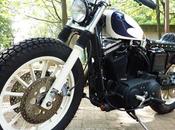 Harley 2001 SP-15 Hidemotorcycle