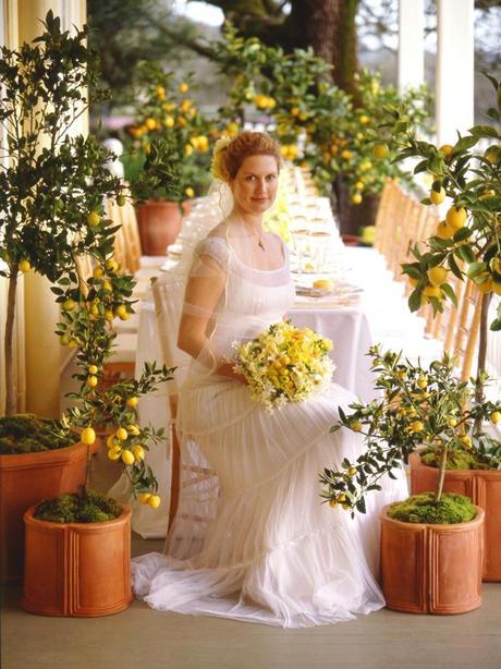 citrus wedding ideas