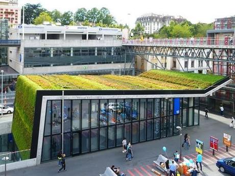 roof green garden