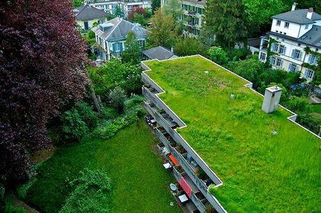 roof green garden