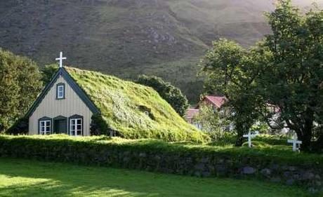 roof green garden