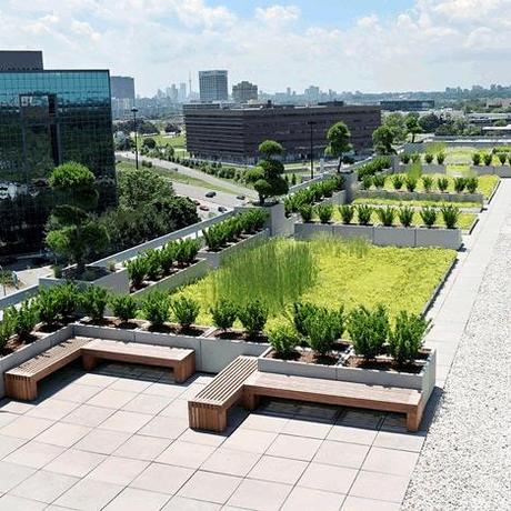 roof green garden