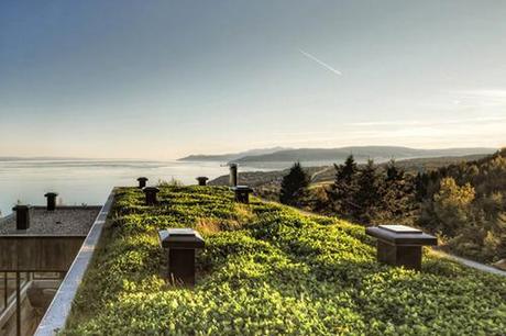 roof green garden