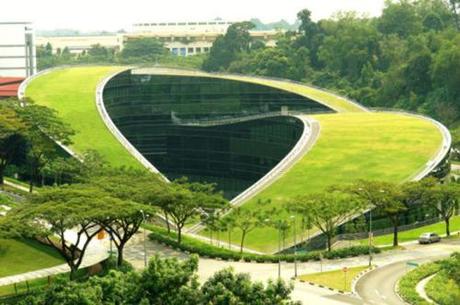 roof green garden