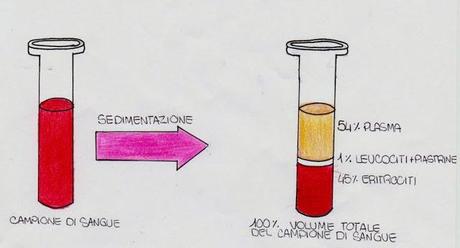 Il sangue