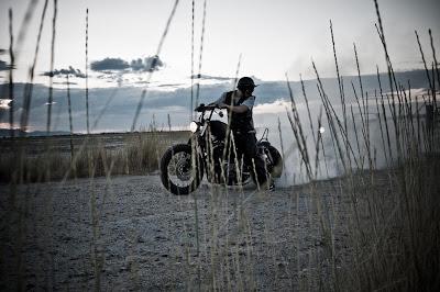 Freedom and friendship