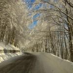 strada innevata