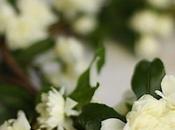 beautiful pics