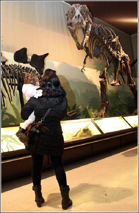 I venerdì col marmocchio: il Museo Civico di Storia Naturale a Milano