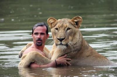 Video - Kevin Richardson, l’uomo che sussurra ai leoni