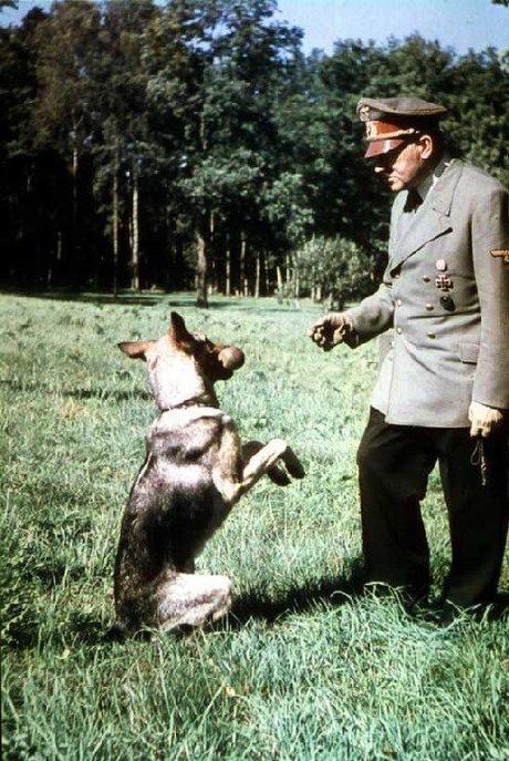 Mentre chiedono voti con i cuccioli in braccio, Giuseppe s'impicca.