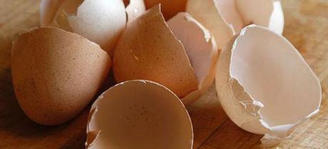 riciclare-gusci-uova