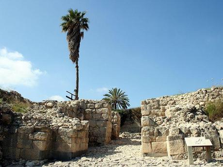 Le mille vite di Megiddo