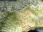 meteorite proveniente Mercurio?